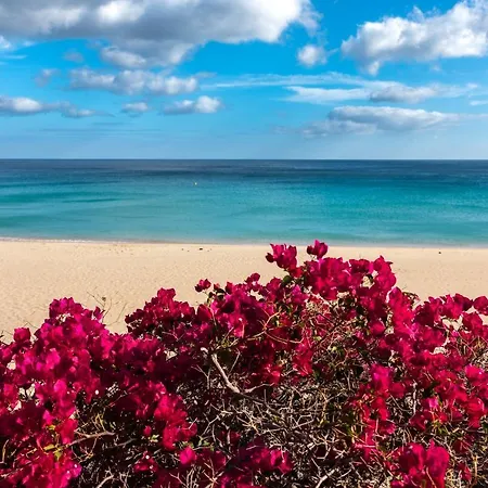 8211 Wifi Tatil Evi *